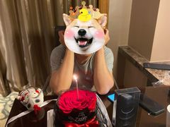 -ZOZO's昌左左精致甜品设计(新北店)