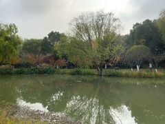 -昆山城市生态森林公园