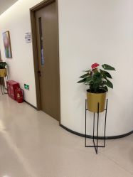 -丰联丽格医疗美容·联合丽格眼整形中心