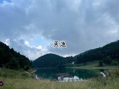 -武陵山森林公园