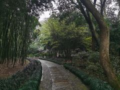 -兰亭风景区