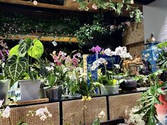 -谷咖啡·鲜花绿植花园餐厅
