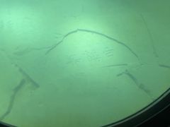 -白鹤梁水下博物馆