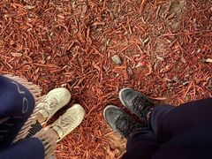 -朝阳公园游乐园