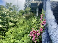 -南尖岩