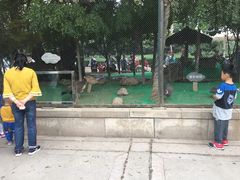 -陕西自然博物馆