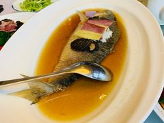 -沪碟·精菜坊(闵行店)