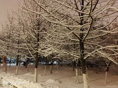 -长白岛森林公园