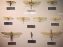 iphone_upload_pic-上海昆虫博物馆