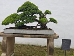 -晨枫酒店(苏州观前步行街店)