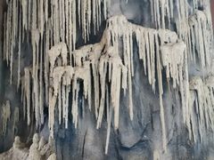 -三亚湾红树林度假世界(木棉酒店)