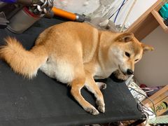 -About Bistro關於·泰式家庭料理