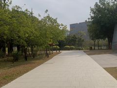 -深圳大学(丽湖校区)