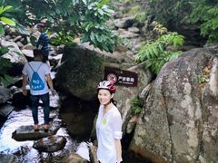 -呀诺达热带雨林