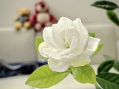 -金陵花卉交易市场