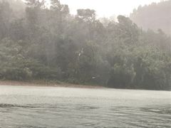 远处暴风雨中折断的树枝-九曲溪漂流