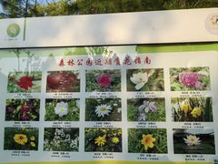 -昆山城市生态森林公园