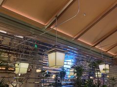 -桂满陇·海市蜃楼·黑金(国金店)