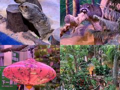 -正佳雨林生态植物园