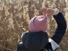 -盐城丹顶鹤湿地生态旅游区