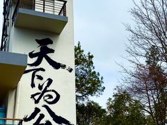 -千岛湖东南湖区