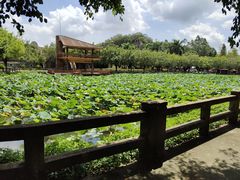 -李小龙乐园(顺德均安店)