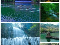 -江西阳明山国家森林公园