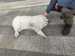 -四明山国家森林公园