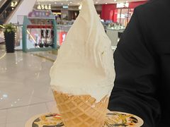 -野人先生Gelato(上海长宁龙之梦店)