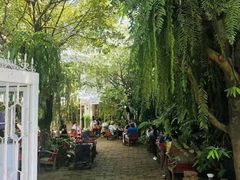 -Fern Forest Cafe