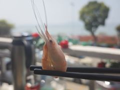 -美味之家·湖景农家乐(太湖东山店)