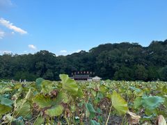 -古田会议纪念馆