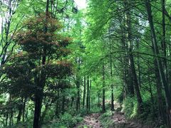 -青城山