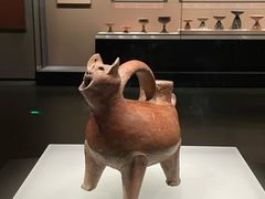 -山东博物馆