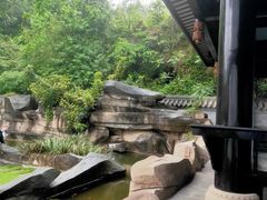 -乐山乌木文化博览苑