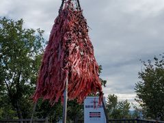 -帽儿山国家森林公园