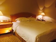 -南京维景国际大酒店(南京博物院店)