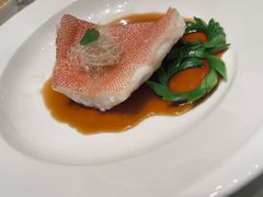 东星斑清蒸-8餐厅(新葡京酒店)