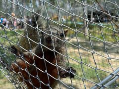 -合肥滨湖国家森林公园