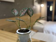 -闲隅江景艺术酒店(解放碑洪崖洞总店)