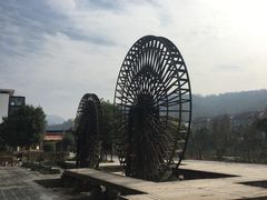 -印象鲵宴·张家界地标美食名片(溪布街店)