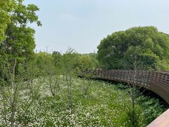-昆山城市生态森林公园