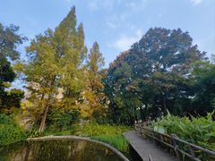 -成都市活水公园