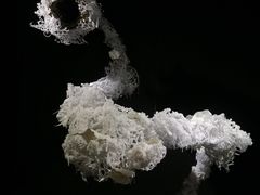 -成都许燎源现代设计艺术博物馆