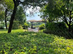 -福田红树林生态公园