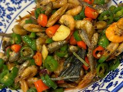 -新新湘菜馆(新中街二条店)