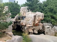 -西海子公园