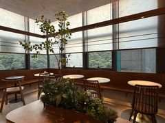 -六六·抹茶66’s SALDessert(保利时光里店)