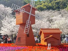 -苏州上方山国家森林公园