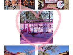 -桃花堤公园